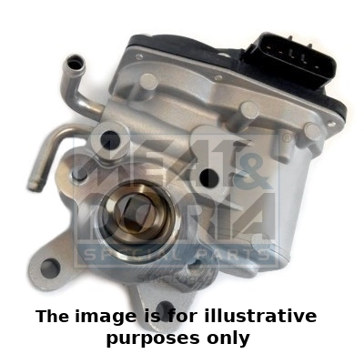 EGR Valve